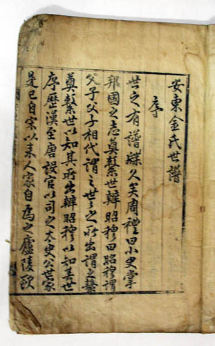 ankim02-10-2b.jpg