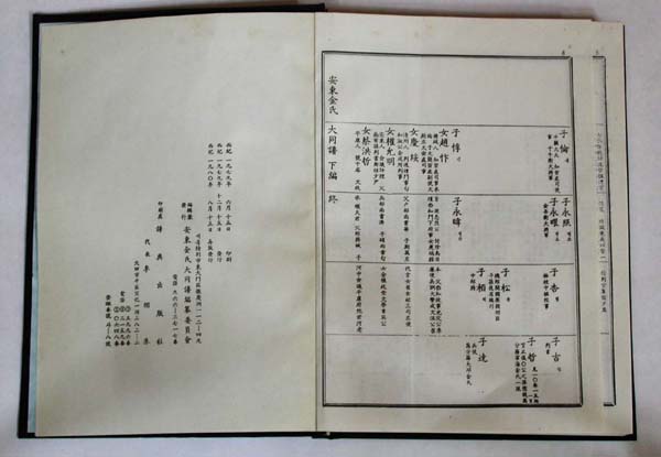 ankim02-10-7d.jpg
