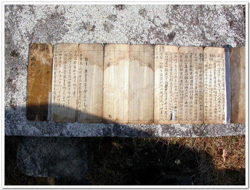 ankim02-5-4b.jpg