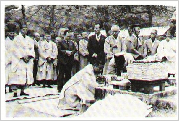 ankim01-8-4a.jpg