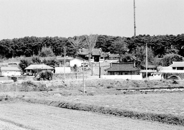 ankim02-6-36j.jpg