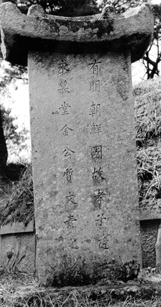 ankim02-6-36k.jpg