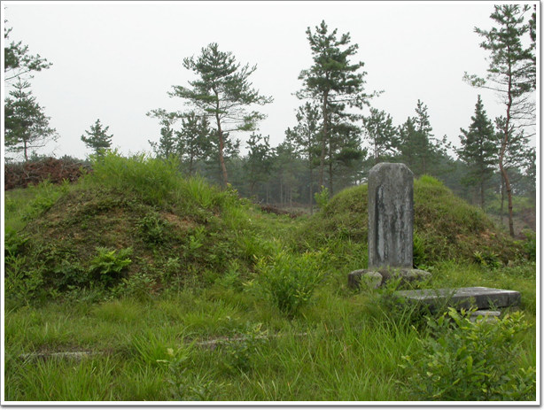 ankim02-6-38a.jpg