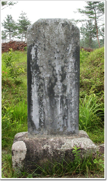 ankim02-6-38b.jpg