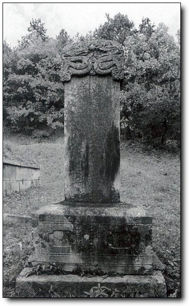 ankim02-6-48z10.jpg