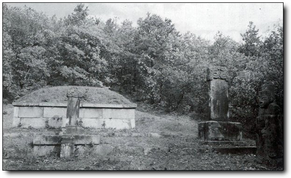 ankim02-6-48z9.jpg