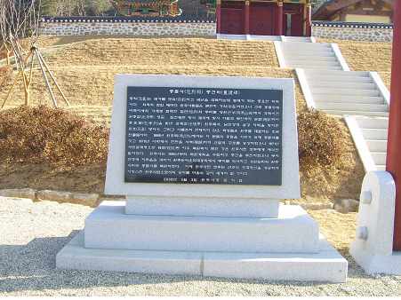 ankim02-6-51z111.jpg