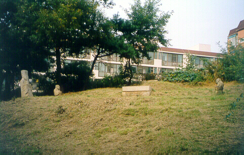 ankim02-6-57d.jpg