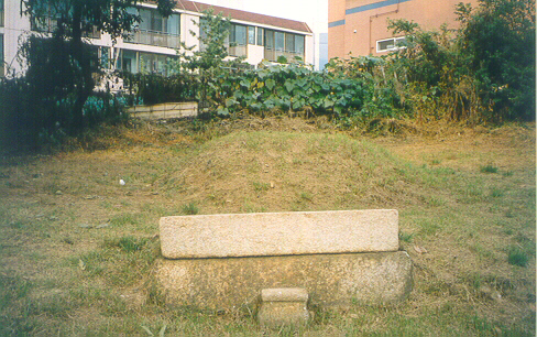 ankim02-6-57e.jpg