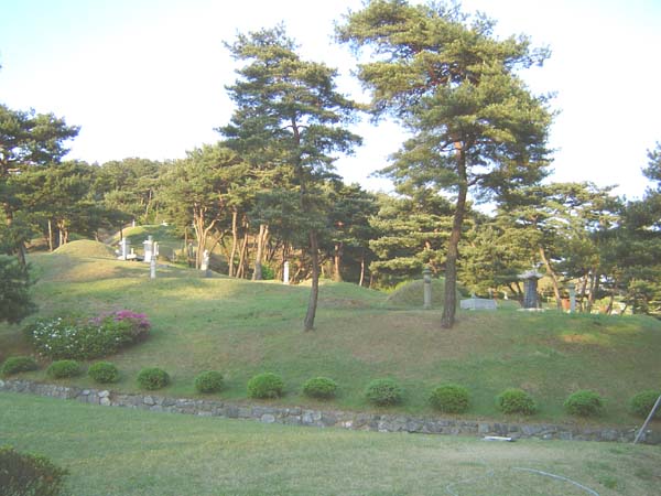 ankim02-6-72z53.jpg