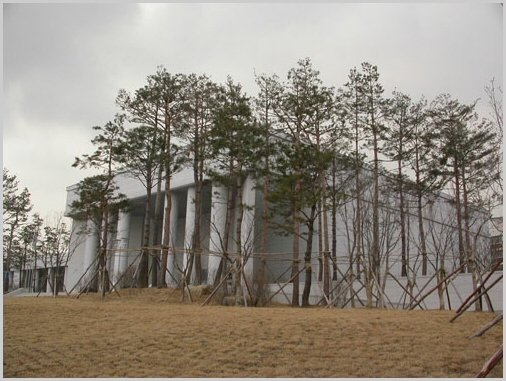 ankim02-6-88q.jpg