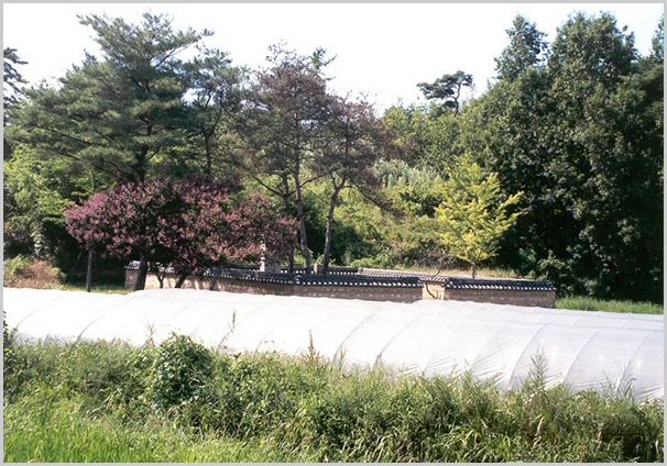 ankim02-6-88z81.jpg