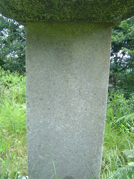 ankim04-11z249.jpg