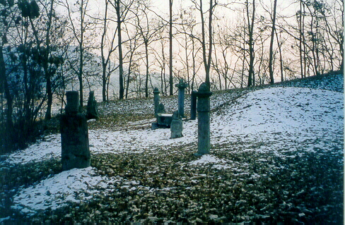 ankim04-11z277.jpg