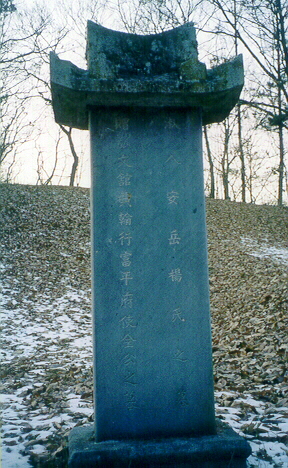 ankim04-11z278.jpg