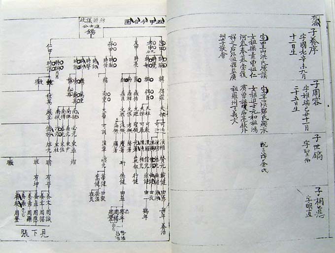 ankim04-11z77.jpg