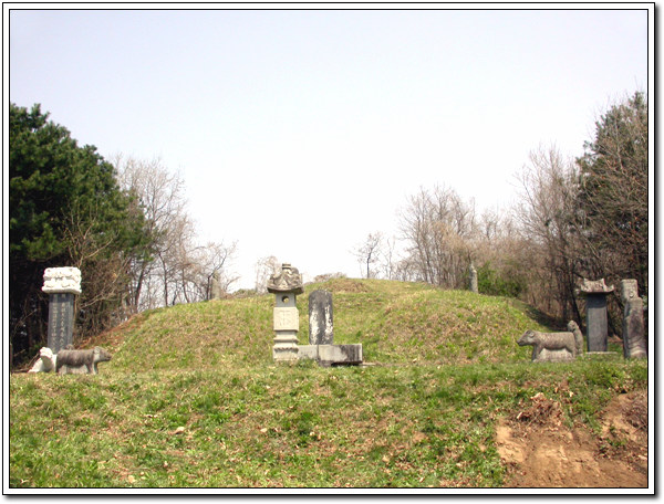 ankim04-11z916.jpg