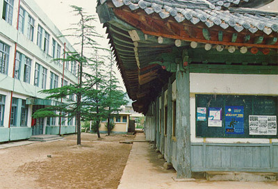 ankim04-13z165.jpg