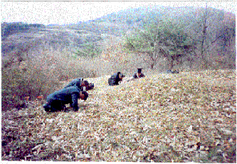 ankim04-7z140.gif