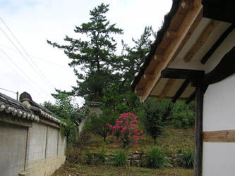 ankim04-9z83.jpg